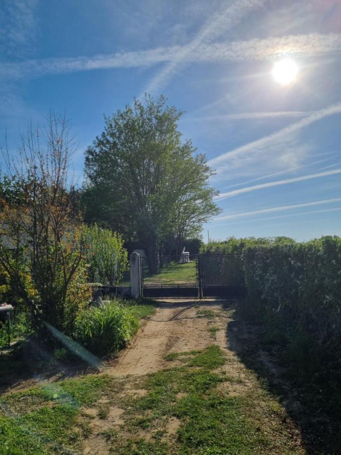 Villa Les 3 Cedres Miramont-de-Guyenne Exterior foto